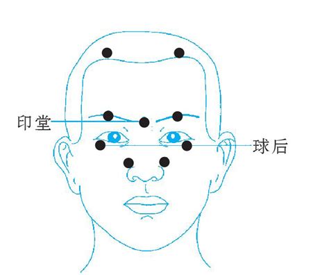 印堂位置|印堂